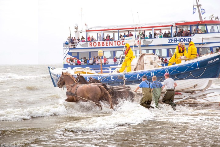 Horses pulling a rescue boat from the sea as people watch from a ship.